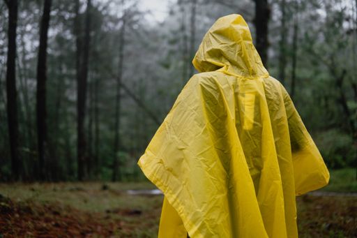 A person in yellow raincoat walking in a wet forest