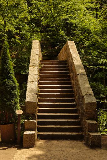 A vertical shot of stairs leading to a forest