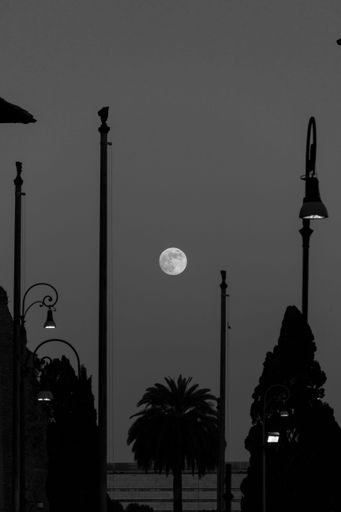 Vertical shot of street lights and silhouettes of palm trees in park against the background of full moon at night