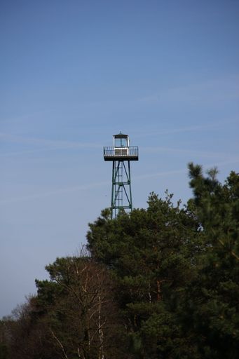 A vertical shot of fire lookout tower in nature reserve under blue sky