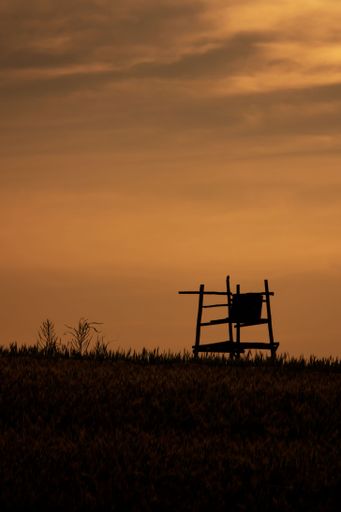 A vertical shot of the hunter's stand silhouette in the field against the orange sky at sunrise.