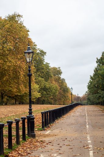 A vertical shot of the street lamps near the road covered with autumn foliage.