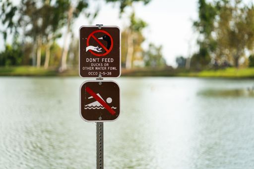 A sign not to feed ducks and other water fowl in Tri-City Park, California