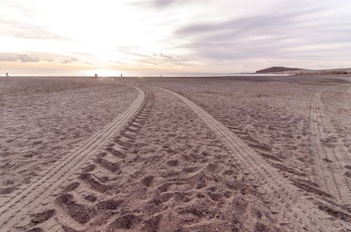 Wheel Tracks in the Sand of a Sandy Beach Desert