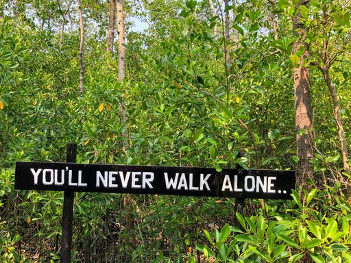 The expression "You will never walk alone" captured in wilderness on a wooden sign post