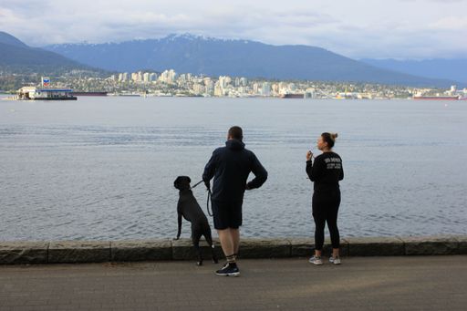 The Young man and woman with a dog at the waterfront in downtown Vancouver, British Columbia, Canada
