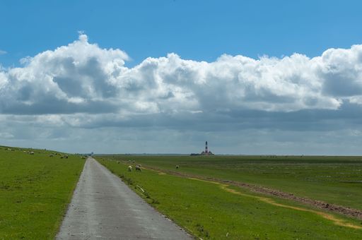 A narrow asphalt road in the middle of lush green fields in Westerhever with flock of sheep grazing around