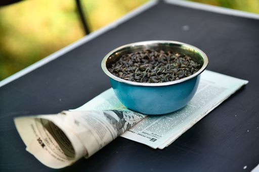 Close-up shot of the sunflower seeds in a metal bowl on a table next to seed holding paper envelope. Traditional Slavic leisure time activity.