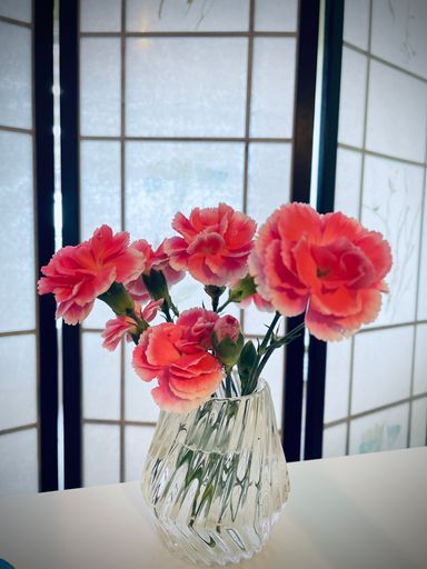 A vertical shot of pink Carnation flowers in a clear glass vase