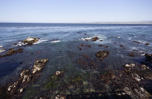 A closeup shot of an ocean with blue water and rocky shore on the forergound