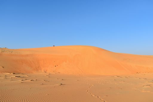 A desert area with sand dunes on a sunny day
