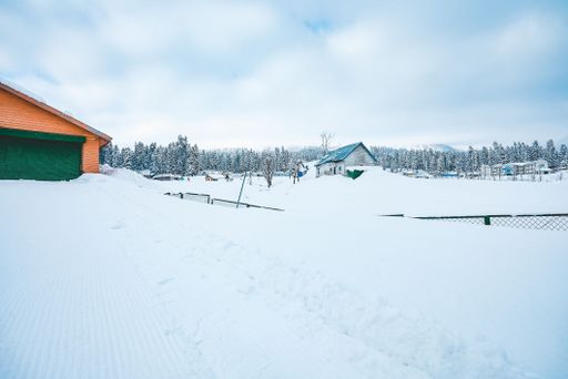 Beautiful, winter scenery of dense forests and small wooden houses covered with snow