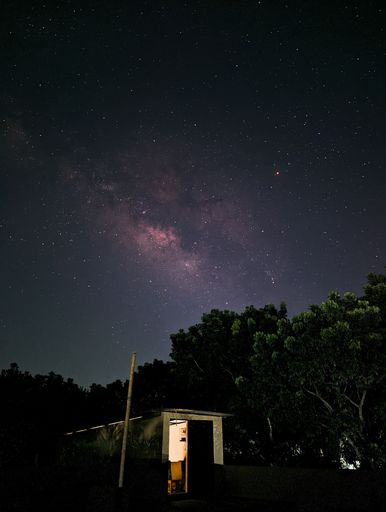 A vertical shot of the Milky Way over the nature