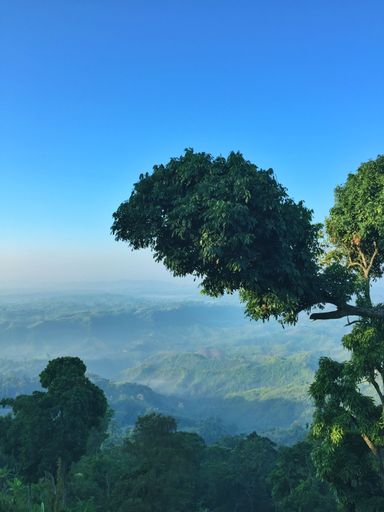 A vertical shot of green mountain forests under the clear blue sky