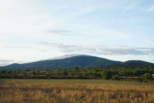 An aerial view of greenery field surrounded by growing trees in background of mountains