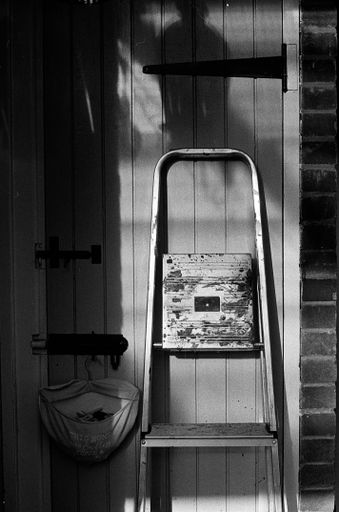 A vertical greyscale shot of a ladder by the wooden door of a brick house