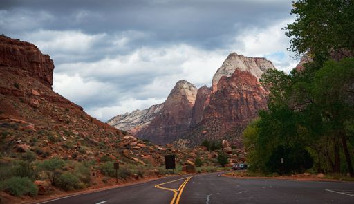 A view of big rocks and trees with a road in the foreground in Zion national park