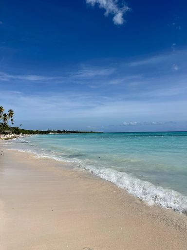 A vertical shot of a paradisic beach with a low tide under the blue sky