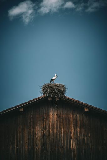 A vertical of a stork standing on its nest on a house roof in blue sky background