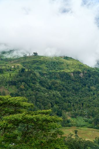 A vertical shot of a scenic landscape of mountainous forests on a cloudy day