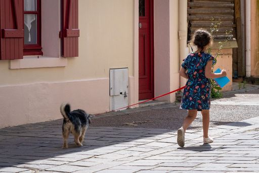 A little girl wearing a blue dress holding dog in collar walking in sunny street in old town of Pornic, France