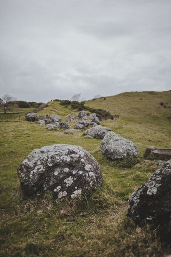 A vertical shot of a field full of rocks of different sizes under the gloomy sky