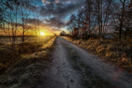 A beautiful scenery of a pathway into the breathtaking sunset surrounded by bare trees and bushes under the dark cloudy sky