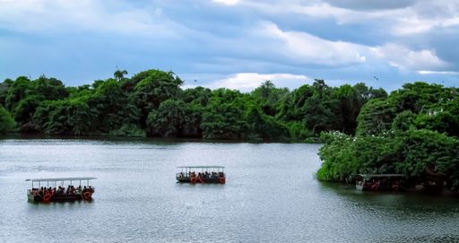 A beautiful shot of touristic boats with people sailing on water near a forest in Mysore, India