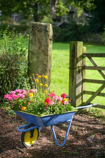 A vertical shot of a wheelbarrow full of vibrant colorful flowers in Shipley, United Kingdom