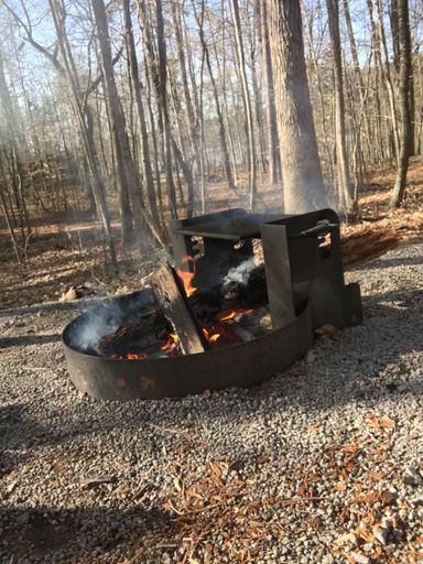 A campfire with burning wood in autumn forest