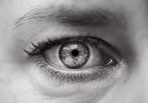 A closeup grayscale of beautiful human eye