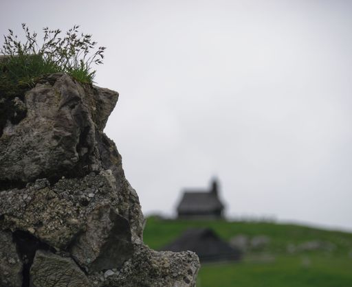 A closeup shot of stone with small green plants growing on it with a church on the hill in the background