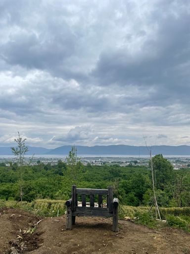 A vertical shot of an old wooden bench on a hill surrounded by greenery on a gloomy day