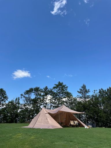 A vertical shot of a tent on green lawn against trees on a sunny day