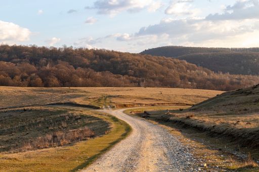 A beautiful landscape of a winding country road surrounded by forested hills on a cloudy day