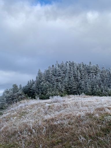 A vertical shot of a beautiful countryside landscape with snowy conifers under the cloudy sky