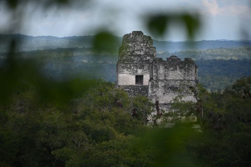 A beautiful shot of The Great Jaguar Tikal in Guatemala