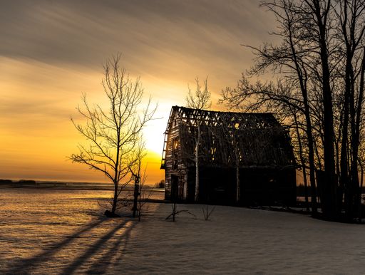 A low-angle view of a wooden house near the forest at sunset
