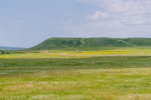 Rustic summer landscape with green agricultural meadows, a hill and a car road against a blue sky.