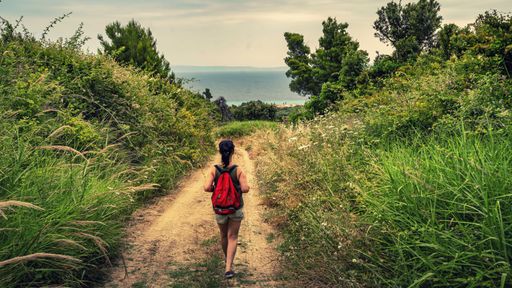 A rear view of a woman walking on a trail with thick grasses in both sides