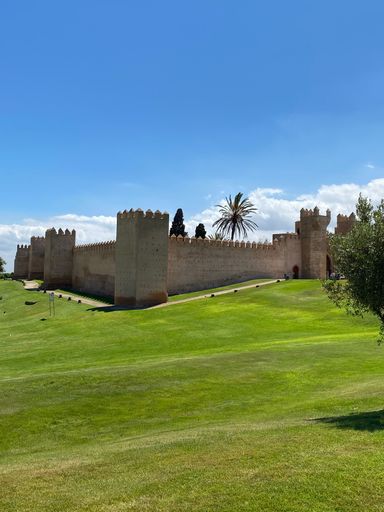 Awesome scenery of the kasbah of chellah surrounded by grass and blue sky,a medieval necropolis