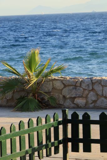 A vertical shot of a plant near the beach with seascape in the background on a sunny day