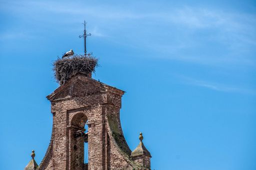 A stork sitting on its nest on the top of a building over a background of a blue sky