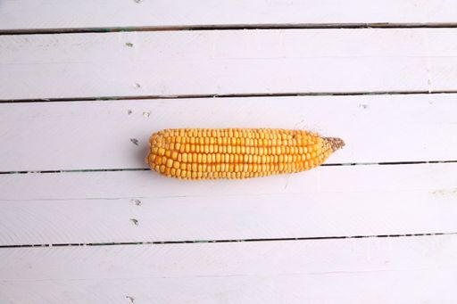 A flat lay of a boiled corn isolated on a rustic wooden background