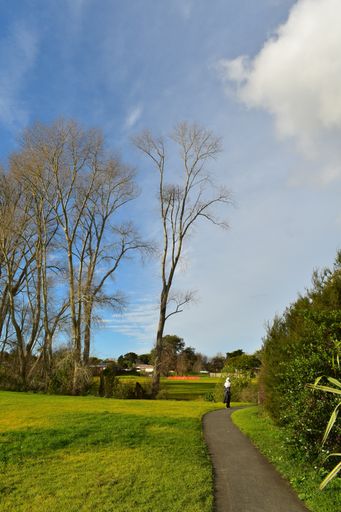 A vertical shot of a pathway surrounded by greenery in a park under the sunlight and a blue cloudy sky