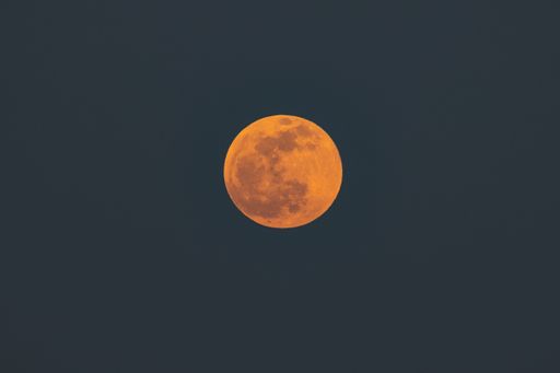 The Flower supermoon full moon rises before the total lunar eclipse blood moon