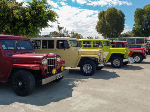 Several old jeep IKA Estanciera ex Overland Willys station wagon circa 1960 in a park. Nature, grass, trees. Classic car show. Copyspace