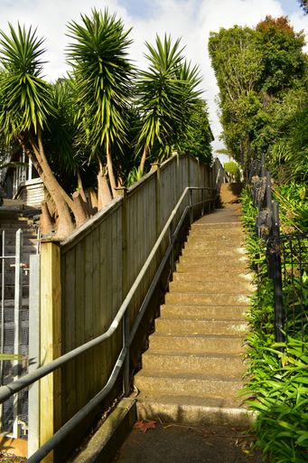 A vertical shot of staircases surrounded by bushes and yucca aloifolias under the sunlight