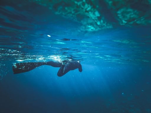 A diver swimming on a sea surface with sunlight passing thought the water