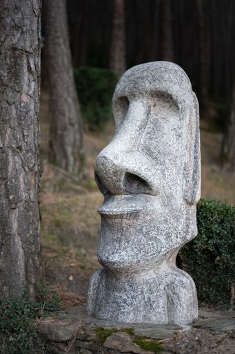 Small  moai hidden in the forest